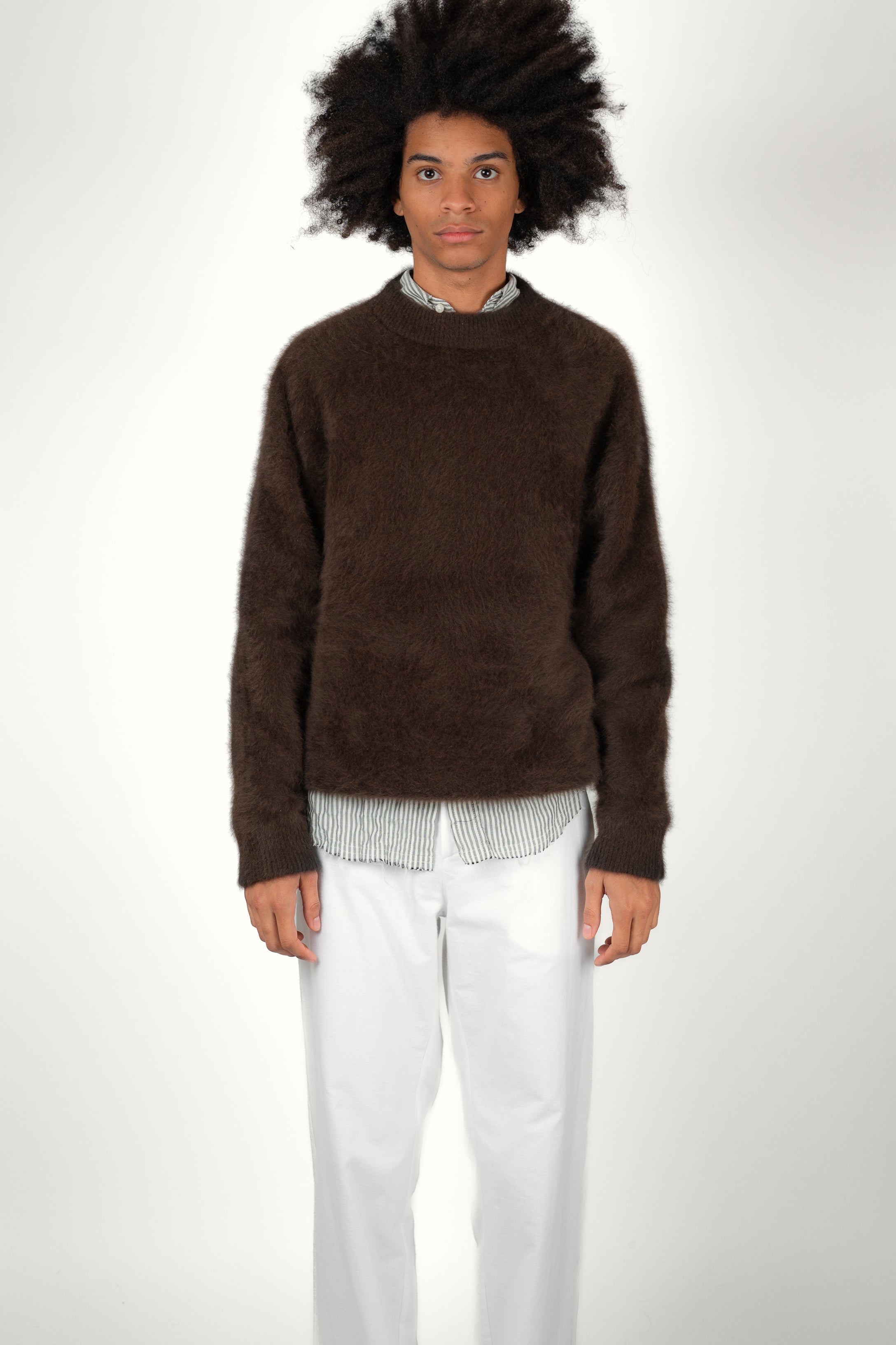 CREWNECK • FUJI BARK | Crewneck pour homme Erevan