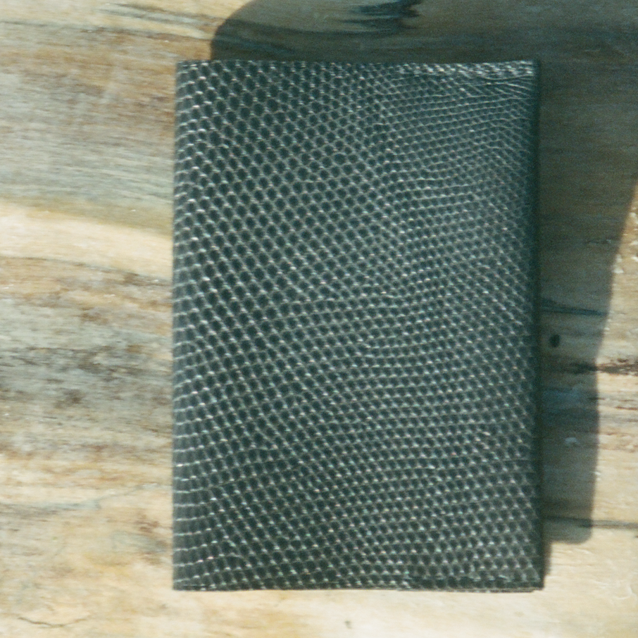 PORTE PASSEPORT LEZARD NOIR